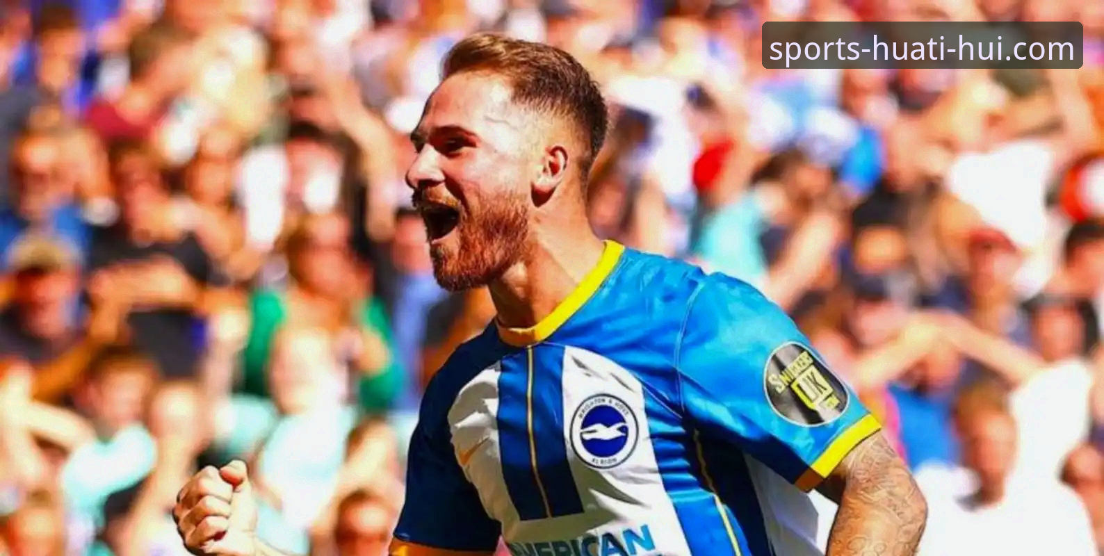 阿根廷世界杯征程突遭重创：新星帕尼切利伤别深度解析